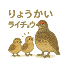 [LINEスタンプ] 大町市のライチョウさんファミリー2025