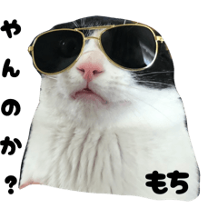 [LINEスタンプ] 三兄弟と愉快な保護猫達シリーズ②