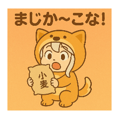 [LINEスタンプ] あやちゃんこな〜日和