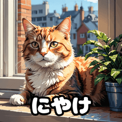 [LINEスタンプ] 表情ゆたかなねこたちスタンプ