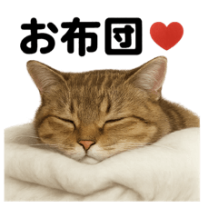 [LINEスタンプ] 茶トラマンチカン猫｜もふもふ日常