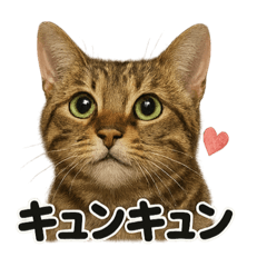 [LINEスタンプ] リアルなベンガル猫の感情表現スタンプ