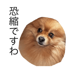 [LINEスタンプ] たんぽぽ日記ネオフュージョン
