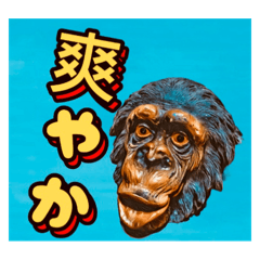 [LINEスタンプ] ボノボモーニング