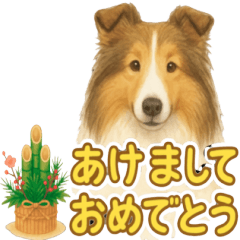 [LINEスタンプ] コリーの使いやすい言葉スタンプ