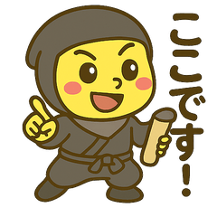 [LINEスタンプ] しゃちほこ NINJA-SWAT