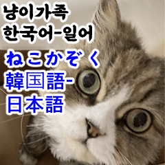 [LINEスタンプ] ねこかぞく 韓国語  -日本語