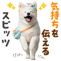 [LINEスタンプ] 毎日使える！感情ゆたかでかわいいスピッツ