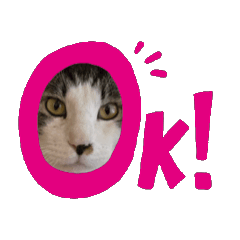 [LINEスタンプ] にぼネコ