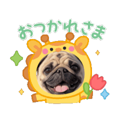 [LINEスタンプ] 動くパグのもんちゃん 日常版