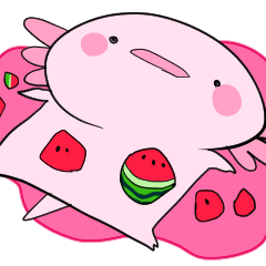 [LINEスタンプ] 【夏】なんだかゆるいウーパールーパー