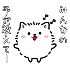 [LINEスタンプ] 日程調整〜当日集合まで使える！白ポメ♪