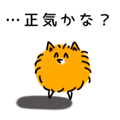 [LINEスタンプ] ニコニコポメラニアンの画像（メイン）