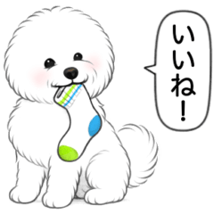 [LINEスタンプ] ビションフリーゼ(アフロカット)