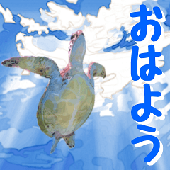 [LINEスタンプ] ウミガメ大好き 2。沖縄行きたい！