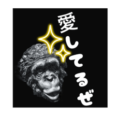 [LINEスタンプ] かっこいいチンパンのひとこと