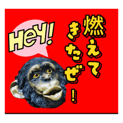 [LINEスタンプ] ボノボは言った