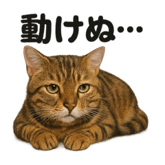 [LINEスタンプ] ベンガル猫スタンプ｜もふもふ＆ぐでな日常