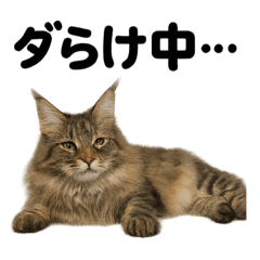 [LINEスタンプ] メインクーン猫｜もふもふ＆ぐで〜な日常
