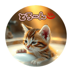 [LINEスタンプ] 温泉♨️とにゃん子