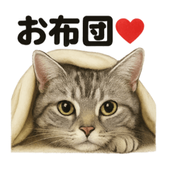 [LINEスタンプ] アメリカンショートヘア猫｜ダラダラ日常