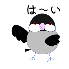 [LINEスタンプ] 桜文鳥のさくちゃんの日常2