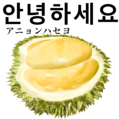 [LINEスタンプ] 熟した ドリアン 【韓国語】