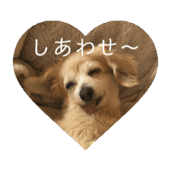 [LINEスタンプ] ティアラちゃんスタンプpart1