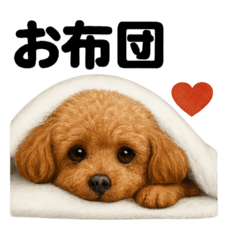 [LINEスタンプ] 引きこもりトイプードルの日常スタンプ