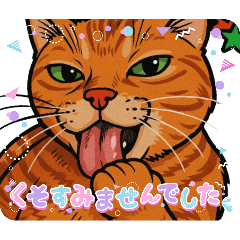 [LINEスタンプ] ChatoranoNekodono