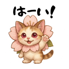 [LINEスタンプ] 桜にゃん❸ふわ夏.