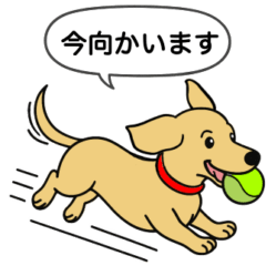 [LINEスタンプ] ミニチュアダックス(スムース＋イエロー)