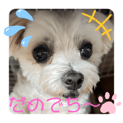 [LINEスタンプ] めりる20250527