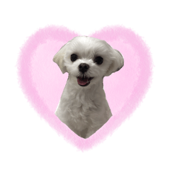[LINEスタンプ] さくらにくらくら