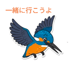 [LINEスタンプ] 大好きカワセミ！