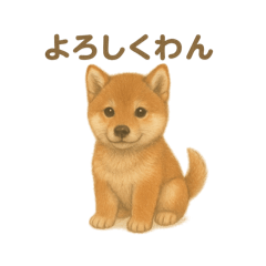 [LINEスタンプ] 日本犬の子犬くんシリーズ2025
