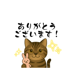 [LINEスタンプ] 接客業がお客様に送るキジトラ猫スタンプ
