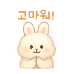 [LINEスタンプ] ふわふわうさぎ韓国語