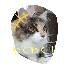 [LINEスタンプ] あすねこのスタンプ2