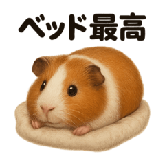 [LINEスタンプ] ぐでぐでモルモットの日常スタンプ