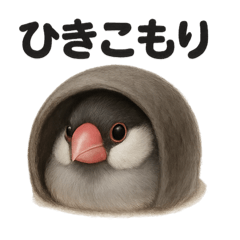 [LINEスタンプ] ぐでぐで文鳥の日常スタンプ【リアル系】
