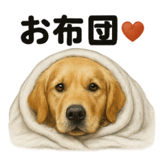 [LINEスタンプ] 引きこもりゴールデンレトリバーのスタンプ