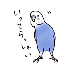 [LINEスタンプ] セキセイインコの可愛い1日（ブルー）