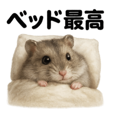 [LINEスタンプ] 引きこもりハムスターの日常生活LINEの画像（メイン）