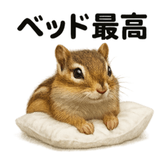 [LINEスタンプ] 引きこもりシマリスの日常生活スタンプ