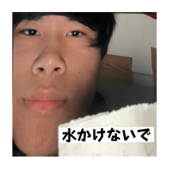 [LINEスタンプ] きちまるゴリラ