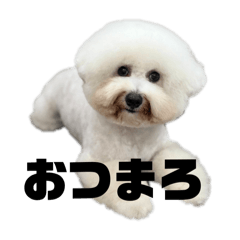 [LINEスタンプ] はにまろすたんぷ！4