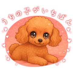 [LINEスタンプ] トイプードル、豆柴スタンプの画像（メイン）