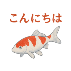 [LINEスタンプ] 日本の国魚の錦鯉シリーズ2025