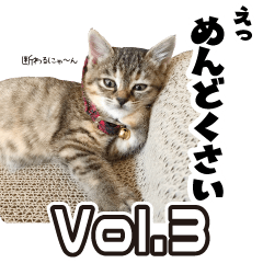[LINEスタンプ] 個性豊かな8猫家族 vol.3